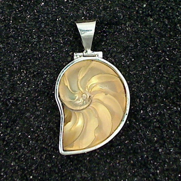 N0733 | chain pendant