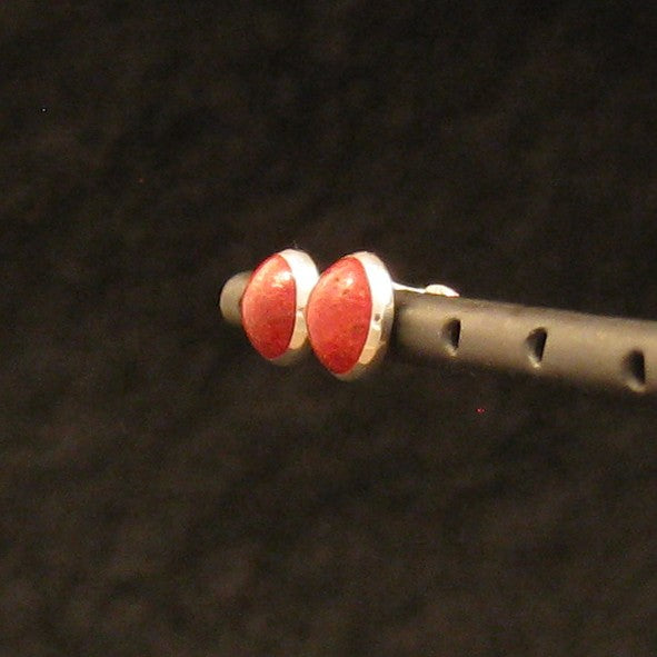S1357 | ear studs