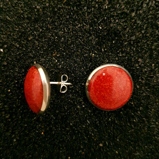 S1526 | ear studs