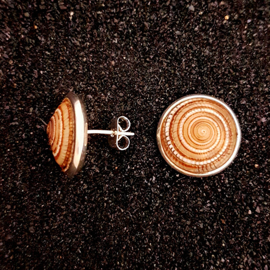 S1574 | Ohrstecker