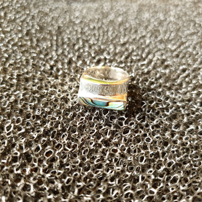 R1343 | Ring