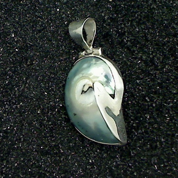 N0733 | chain pendant