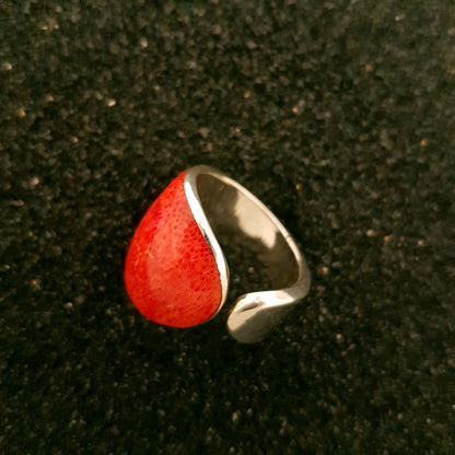 R1041 | Ring