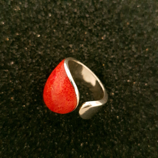 R1041 | Ring