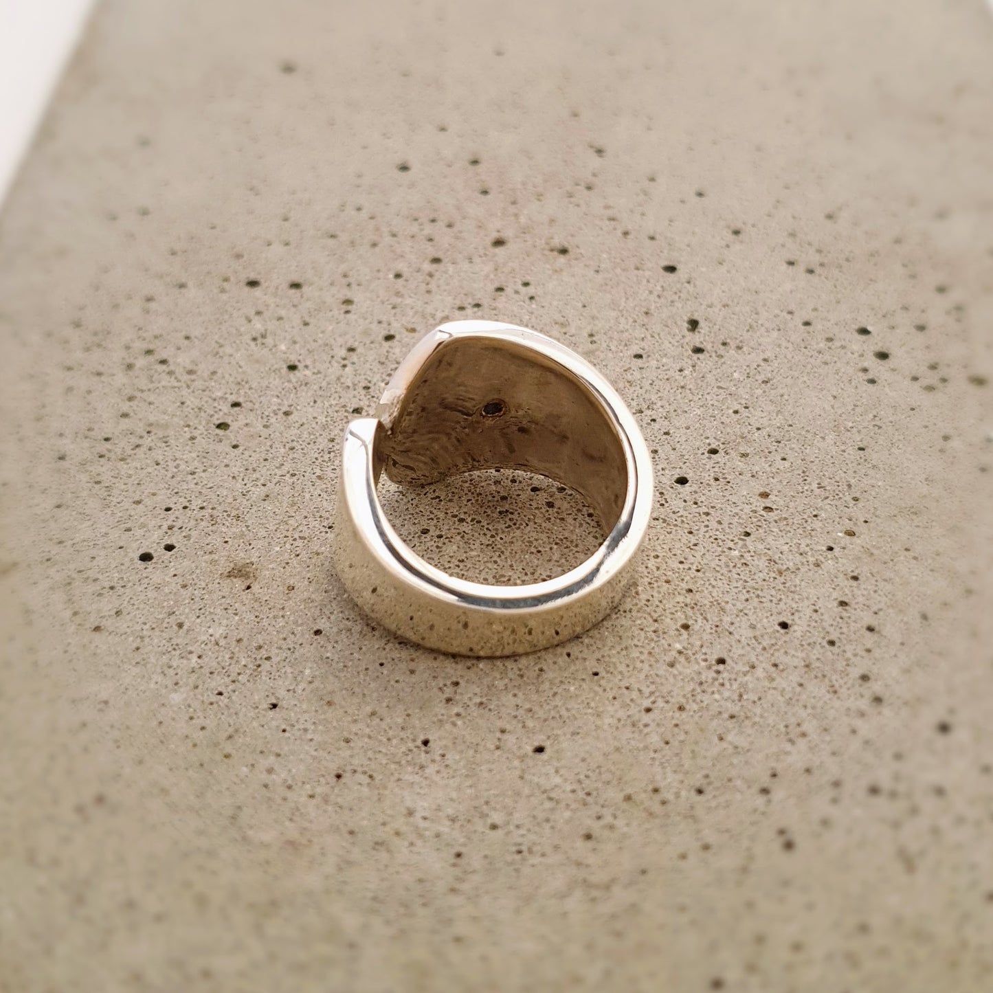 R1341 | Ring