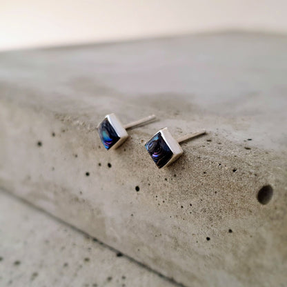 S1619 | Ohrstecker