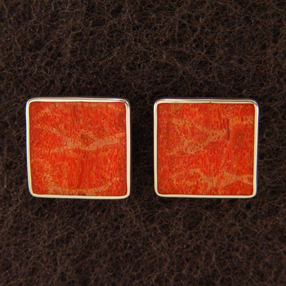 L0030 | Ohrclips