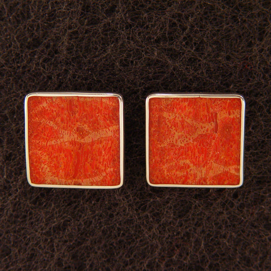 L0030 | Ohrclips
