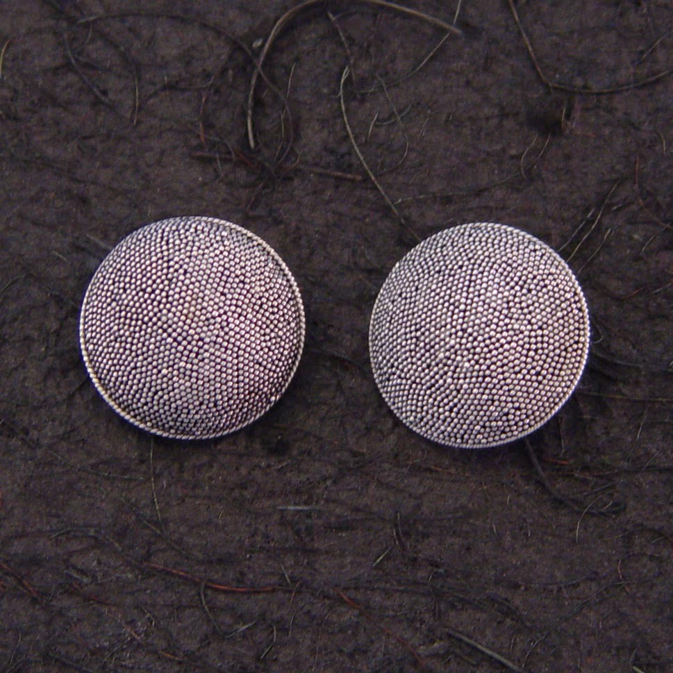 L0034 | ear clips