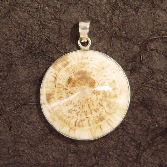 N0454 | chain pendant