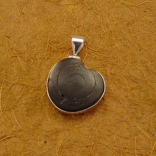 N0529 | chain pendant