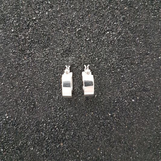 O0799 | earrings