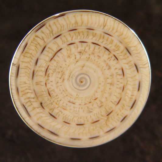 R0901 | Ring
