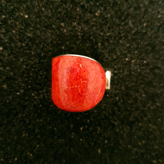 R1041 | Ring