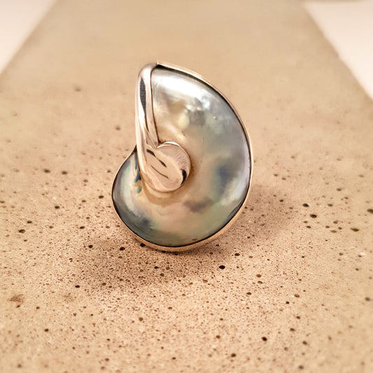 R1208 | Ring