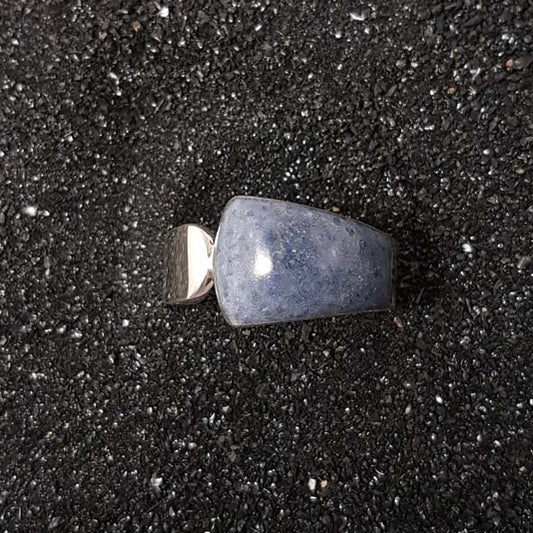 R1291 | Ring