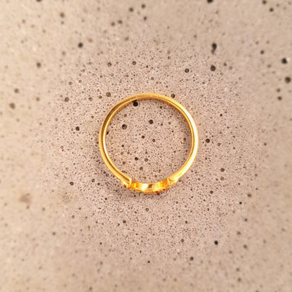 R1337 | Ring