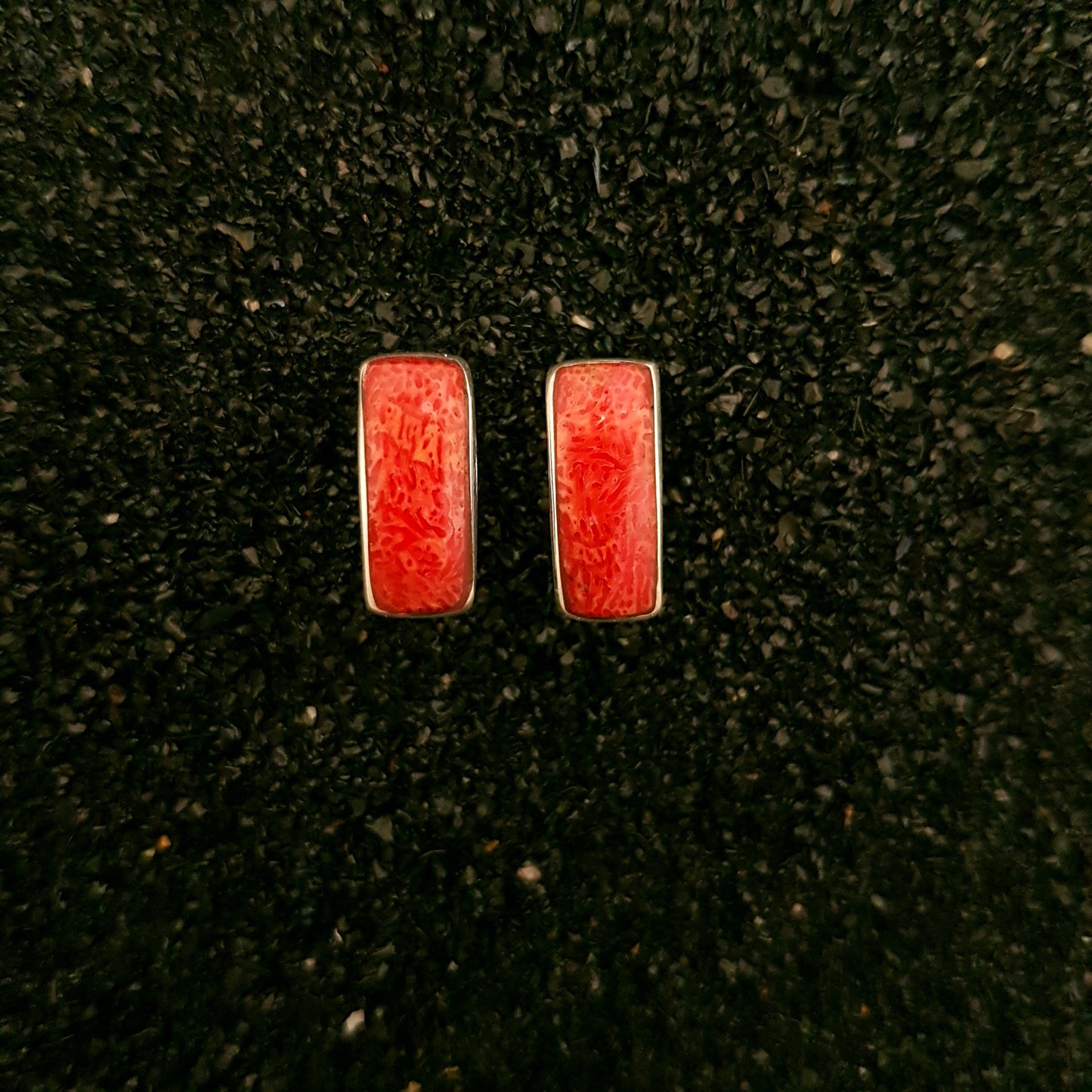 S1194 | ear studs