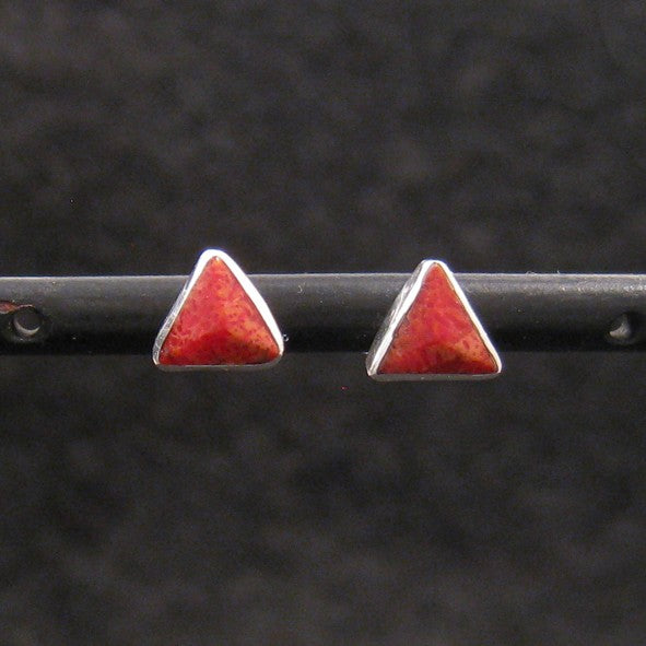 S1328 | ear studs
