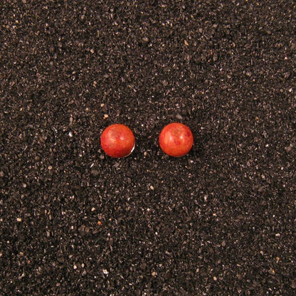S1356 | Ohrstecker