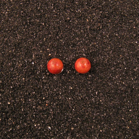 S1356 | Ohrstecker