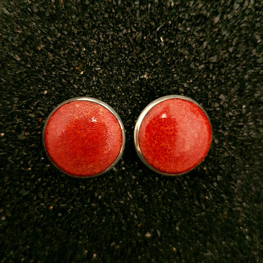 S1526 | ear studs