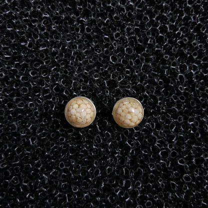 S1553 | Ohrstecker