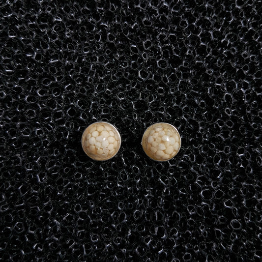 S1553 | Ohrstecker