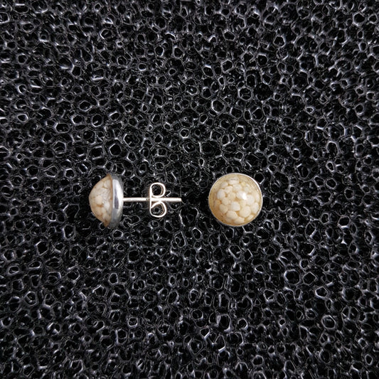 S1553 | Ohrstecker