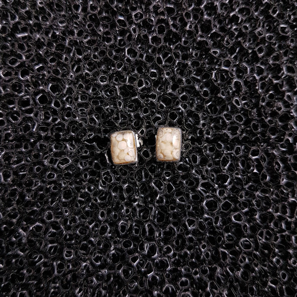 S1555 | Ohrstecker