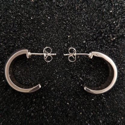 S1563 | ear studs