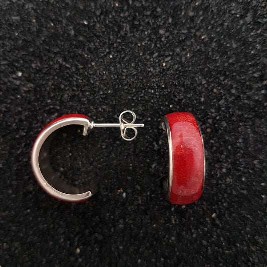 S1564 | Ohrstecker