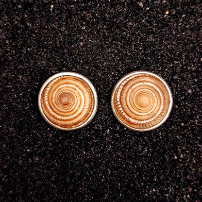 S1574 | Ohrstecker