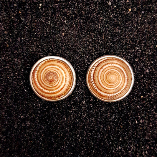 S1574 | Ohrstecker