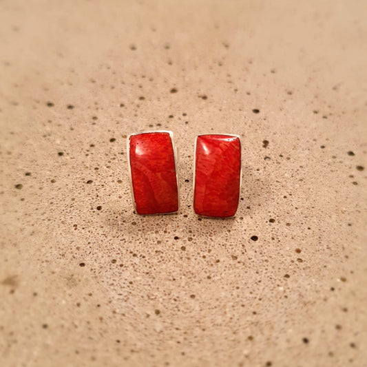 S1588 | Ohrstecker